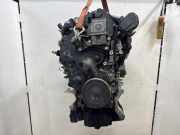 Motor ohne Anbauteile (Diesel) Ford Transit Connect V408 Kasten DV6Q6006BA