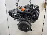 Motor ohne Anbauteile (Benzin) Dacia Duster PYM, PYN H5F601