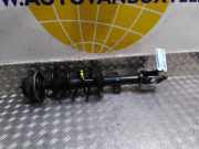 Federbein rechts vorne Dacia Duster HM 43029903R