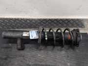 Federbein rechts vorne Audi Q3 8U 5N0413031