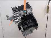 Motor ohne Anbauteile (Benzin) Ford EcoSport M1JJ0