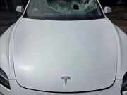 Motorhaube Tesla Model 3 5YJ3 1714047ECD