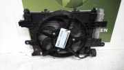 Kühlpaket Dacia Spring 921005444R