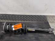Federbein rechts vorne Mercedes-Benz C-Klasse W205 A2053207368