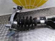 Federbein links vorne Tesla Model 3 5YJ3 104436300F
