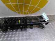 Federbein links vorne Dacia Duster HM 43029903R