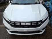 Teilepaket Front Dacia Sandero III DJF 260602561R