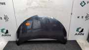 Motorhaube Renault Zoe BFM 651004516R