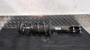 Federbein links vorne Suzuki Swift VI ZD, ZC 4160270T00