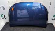 Motorhaube VW Polo VI AW 2G0823031J