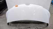 Motorhaube Renault Master III Kasten FV 651001399R