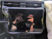 Multifunktionsanzeige Ford Puma II CF7, J2K 2857860