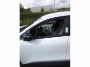 Tür links vorne Renault Megane E-Tech