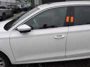 Tür links vorne Skoda Octavia IV Combi NX5 5E3831051