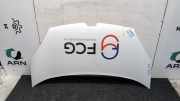 Motorhaube Renault Kangoo II Rapid FW0 651009758R