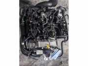 Motor ohne Anbauteile (Benzin) Ford Fiesta VII HJ, HF