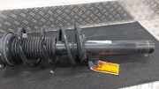 Federbein links vorne Cupra Formentor KM7 5WA413024D