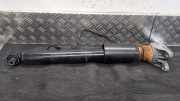 Federbein rechts hinten BMW 3er G20, G28, G80 6878739