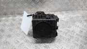 Lautsprecher Renault Clio V BF 256A82112R