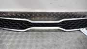 Kühlergrill Kia Rio IV FB, SC, YB 86351H8000