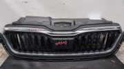 Kühlergrill Skoda Scala NW1 657853343