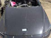 Motorhaube Mazda CX-3 DK DKY05231XA