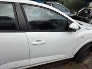 Tür rechts vorne Dacia Sandero III DJF 801003355R