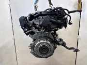 Motor ohne Anbauteile (Benzin) Dacia Duster PYM, PYN H5F600