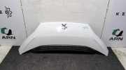Motorhaube Peugeot Boxer Kasten 1612246980