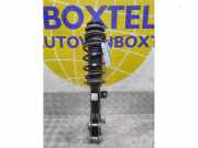 Federbein rechts vorne Suzuki Ignis III MF 4160173S31