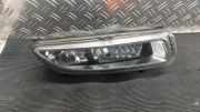 Nebelscheinwerfer rechts VW Polo V 6R, 6C