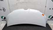 Motorhaube Renault Master III Bus JV 651009593R