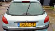 Heckklappe / Heckdeckel Peugeot 206 Schrägheck 2A/C 8701R5