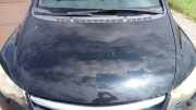 Motorhaube Honda Civic VIII Stufenheck FD, FA