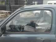 Türscheibe links Nissan Micra II K11 803014F100