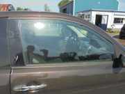 Seitenscheibe rechts vorne Lancia Ypsilon 843 51816884