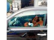 Türscheibe links Lancia Ypsilon 843 51816885