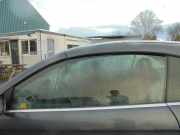 Türscheibe links VW Eos 1F 1Q0845201C