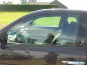 Türscheibe links Lancia Ypsilon 843 51816885