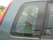 Dreieckscheibe rechts Ford Fusion JU 8N11N29750AA