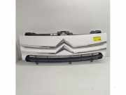 Kühlergrill Citroen Jumpy II Kasten 7804R2