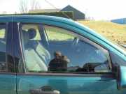 Türscheibe rechts vorne Ford Focus DAW, DBW XS41A21410BG