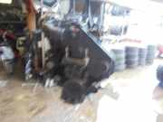 Motor ohne Anbauteile (Diesel) Ford Focus C-Max C214 RM5M5Q6006AA
