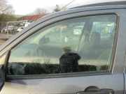 Türscheibe links vorne Mazda 2 DY