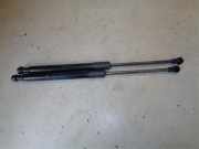 Gasdruckfeder Renault Twingo II CN0 8200385560