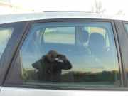 Türscheibe rechts hinten Renault Scenic II JM 8200481163