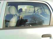 Türscheibe links hinten Suzuki Alto VI FF