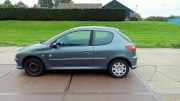 Dreieckscheibe links Peugeot 206 Schrägheck 2A/C 8569W8