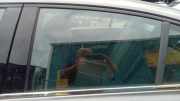 Türscheibe links hinten Fiat Tipo Stufenheck 356, 357 51984777