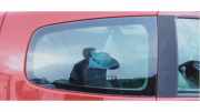 Dreieckscheibe rechts Renault Twingo II CN0